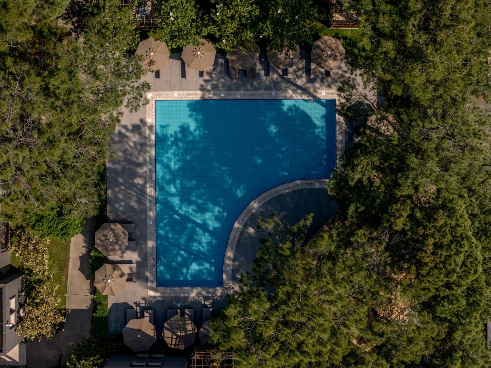 Balmy Foresta 5* Beldibi (Kemer)