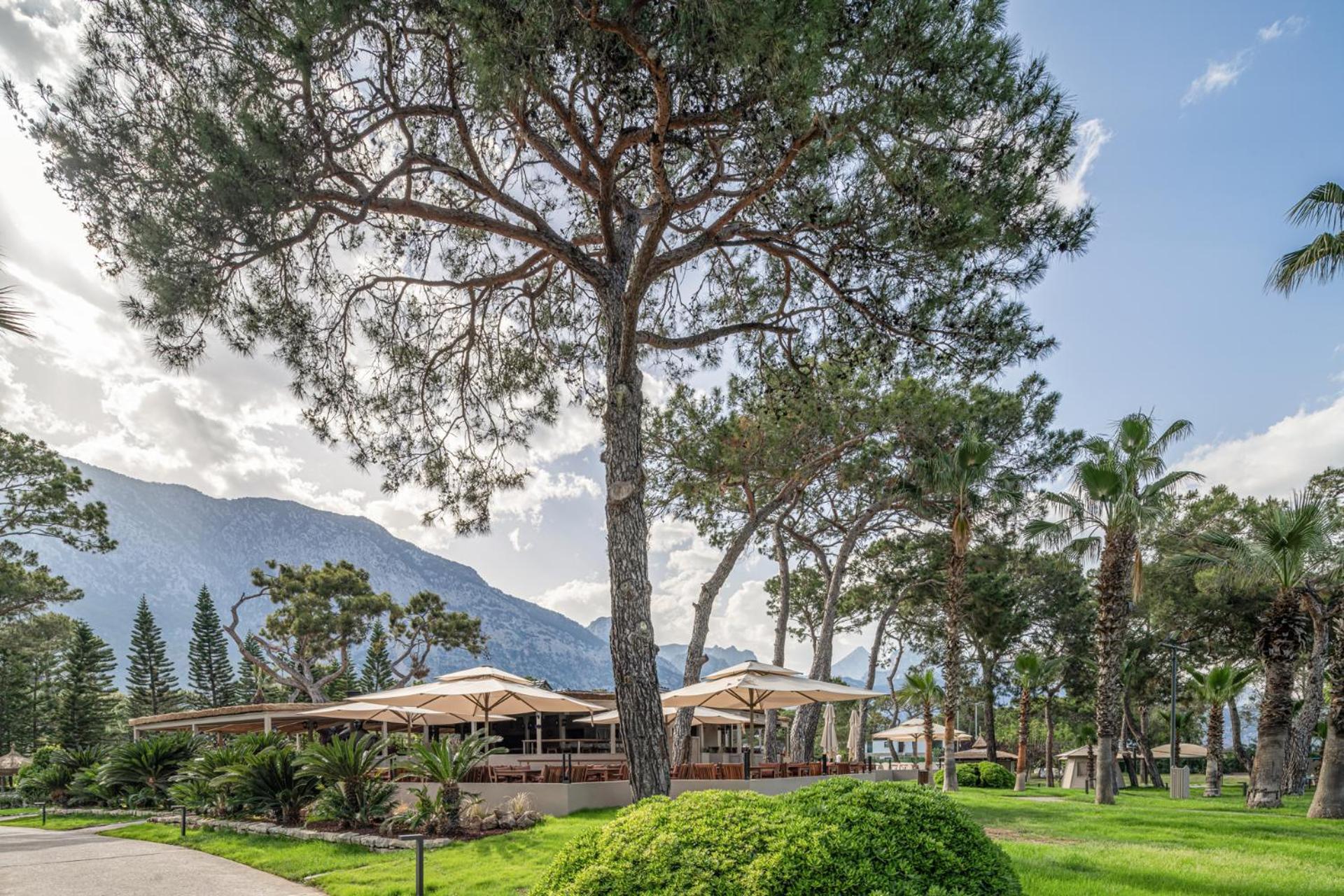 Balmy Foresta 5*