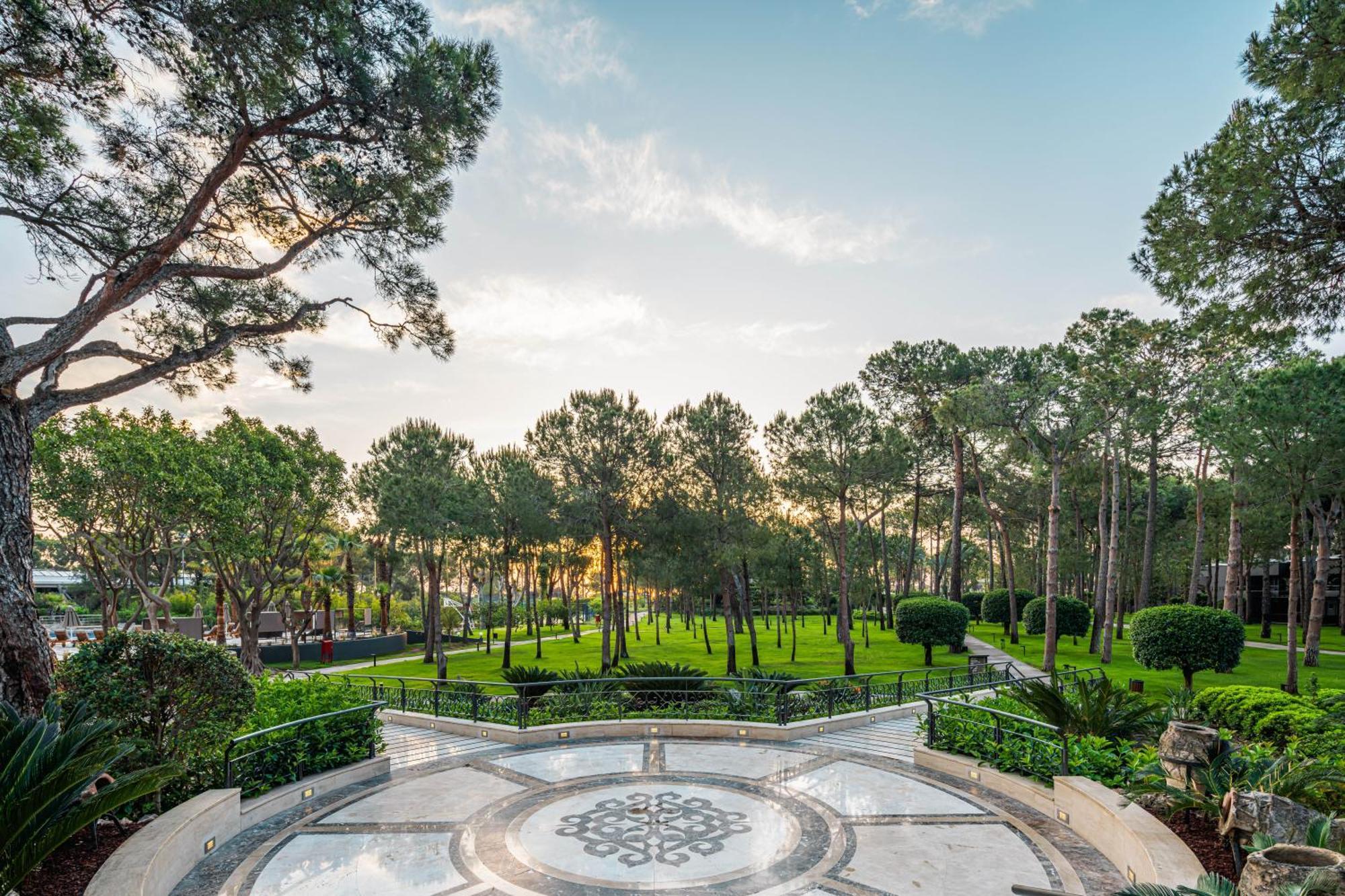 Resort Balmy Foresta